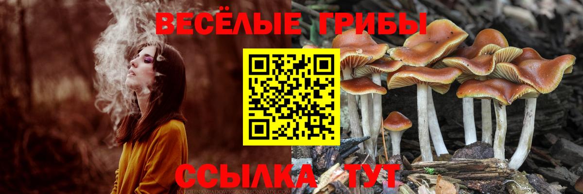 Галлюциногенные грибы Magic Shrooms Гулькевичи